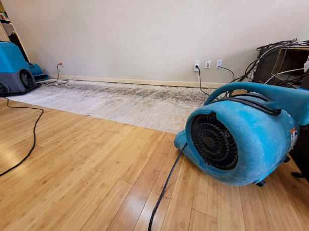 Professional Sewage Cleanup technician working in Keenesburg, CO